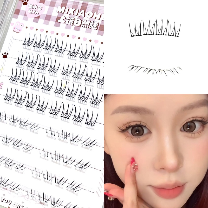 Eyelash Extension Wispy - رموش علوية شفافة ومختلطة من ميكسيوه،