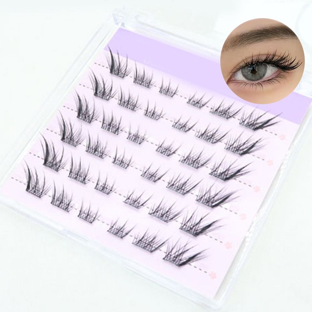 Eyelash Extension Fox Eye - جديد ثلاثية الأبعاد عين القط رموش